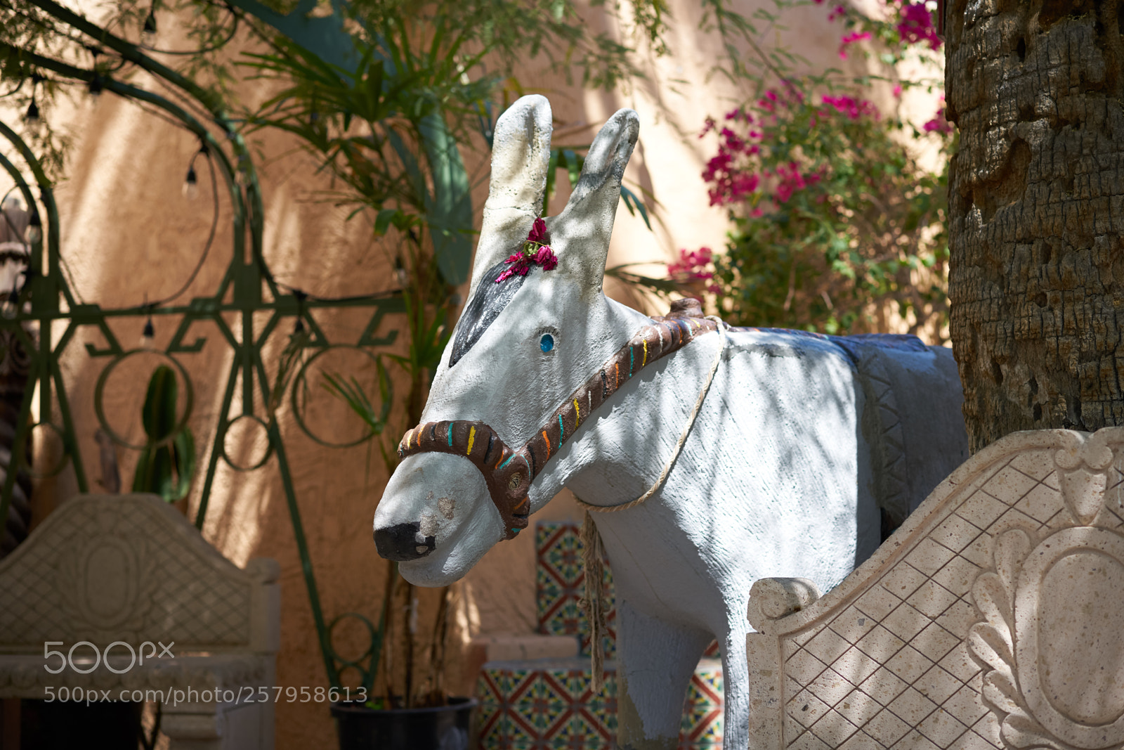 Sony a7R II sample photo. You lookin' at me? photography