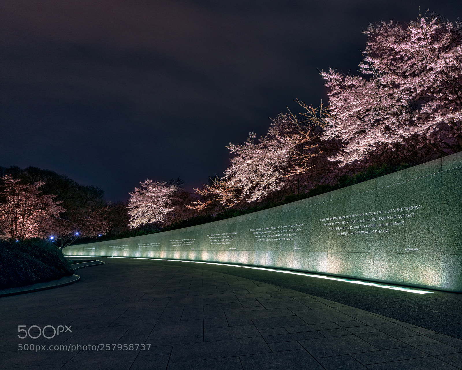 Sony a7R III sample photo. Cherry blossoms over mlk photography