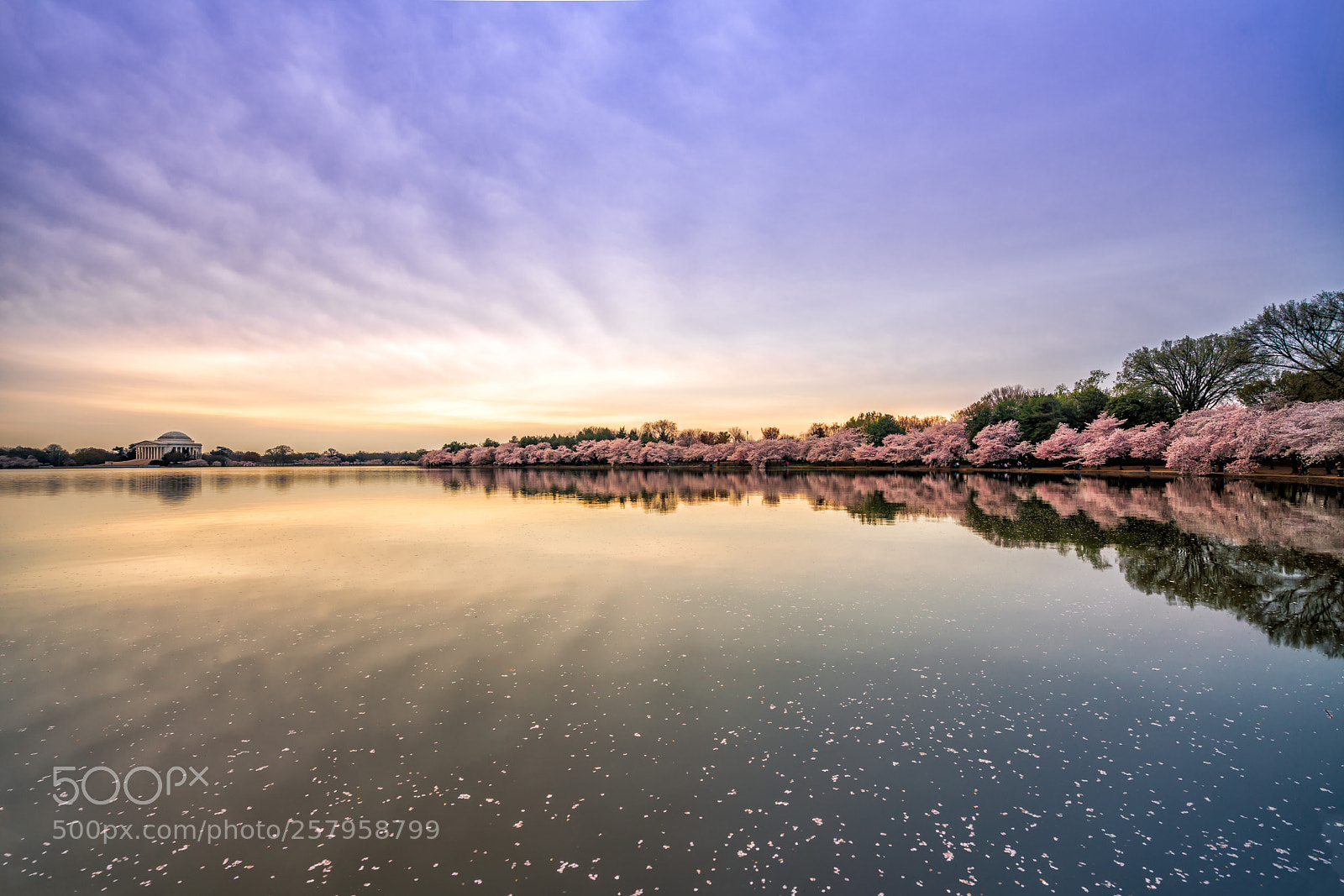Sony a7R III sample photo. Tidal basin at first photography