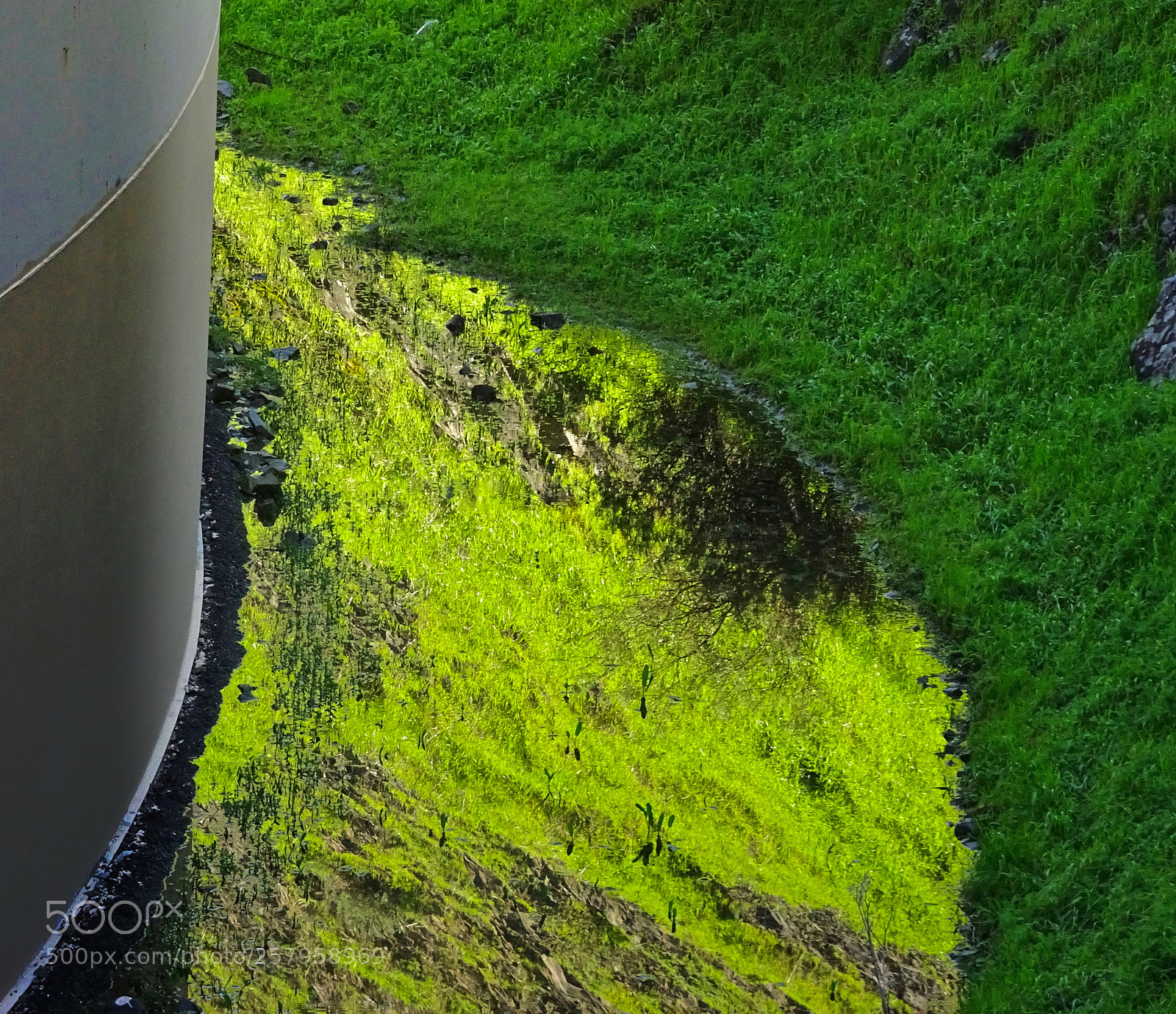 Sony Cyber-shot DSC-HX90V sample photo. Water grass photography