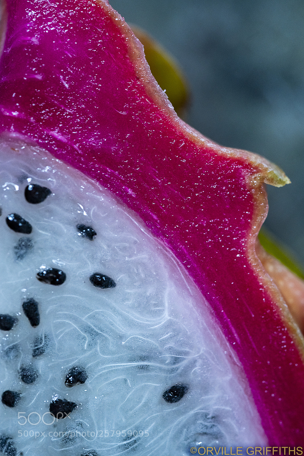 Sony a9 sample photo. **dragon**fruit nº2 photography