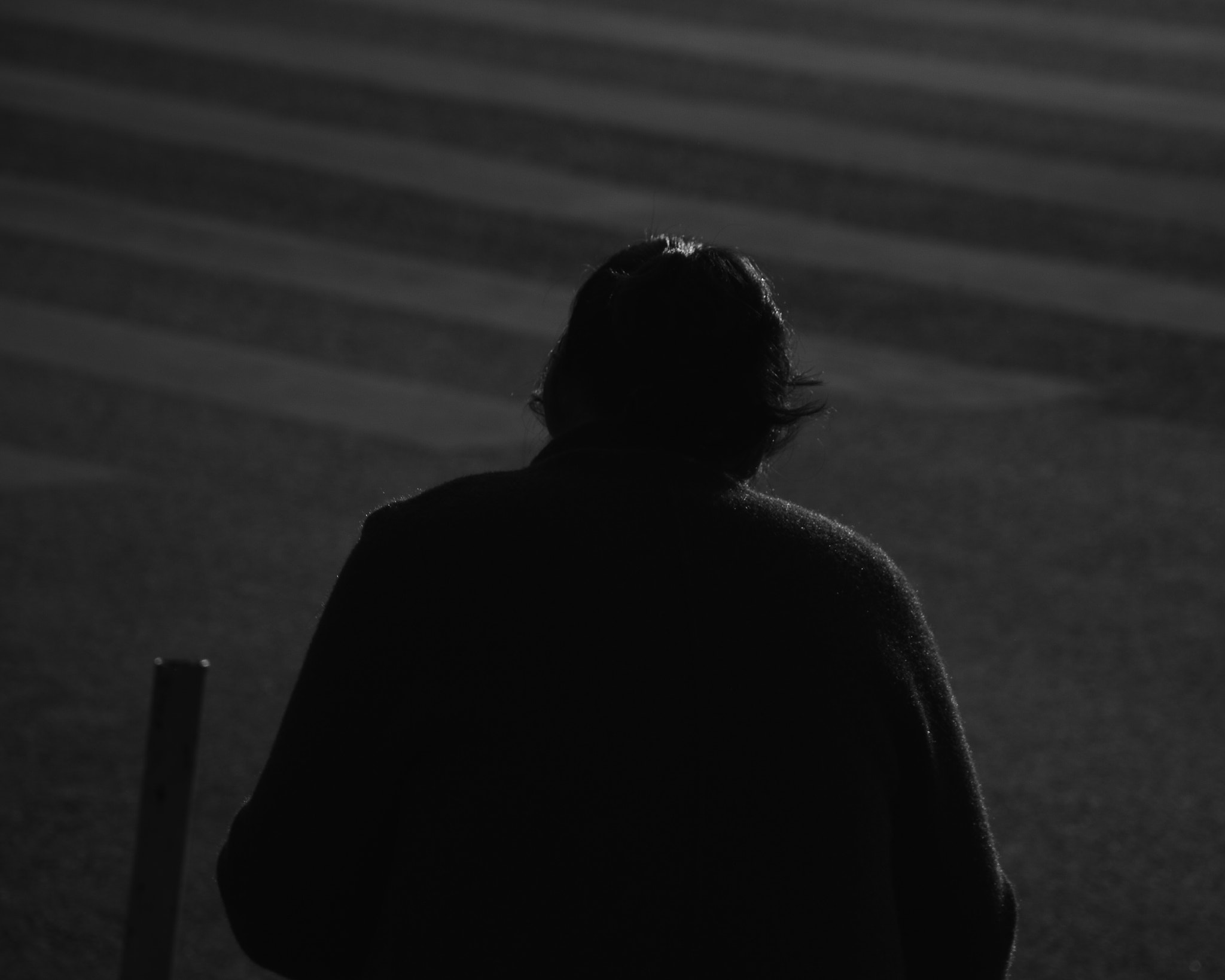 Nikon D7100 sample photo. 背影 photography