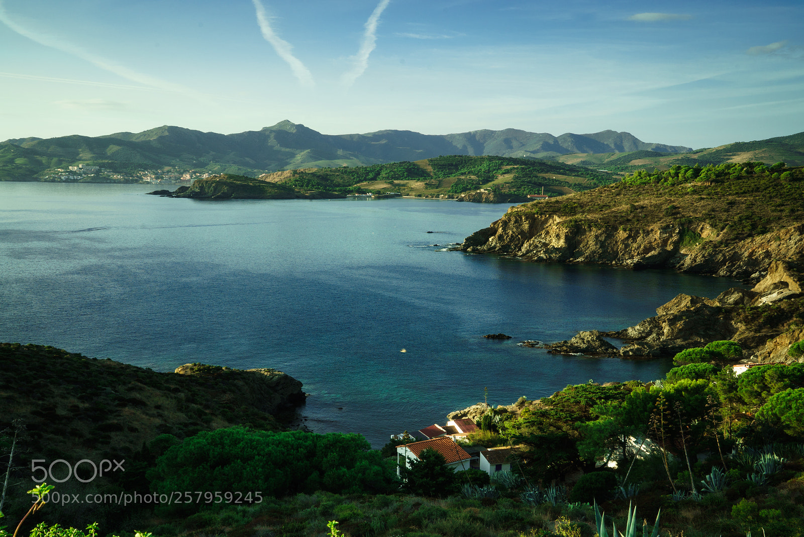 Sony a7S sample photo. Cap béar photography