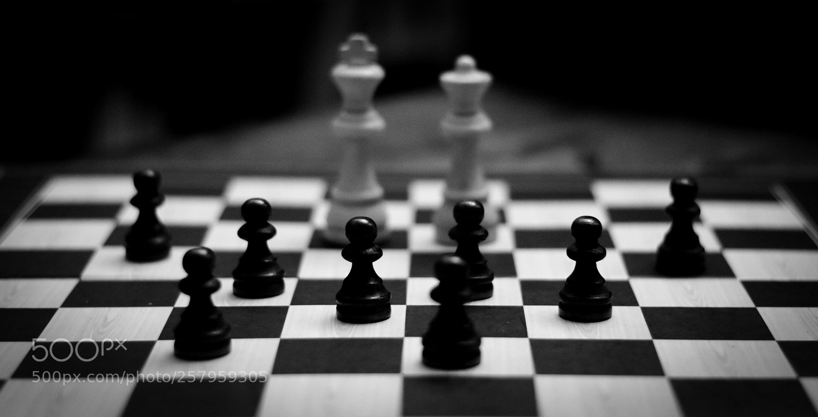 Nikon D3400 sample photo. Chess photography