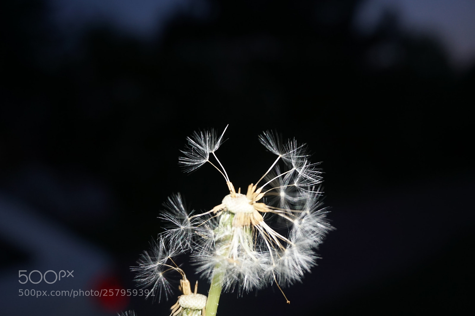 Sony E 16-50mm F3.5-5.6 PZ OSS sample photo. Nightime is the right photography