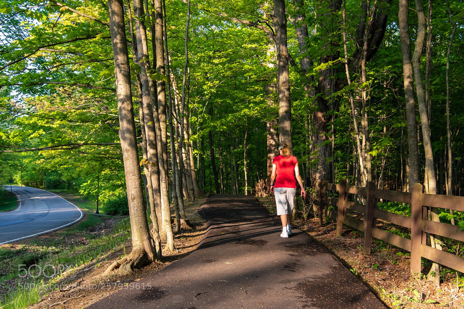 Nikon D810 sample photo. Untitled photography