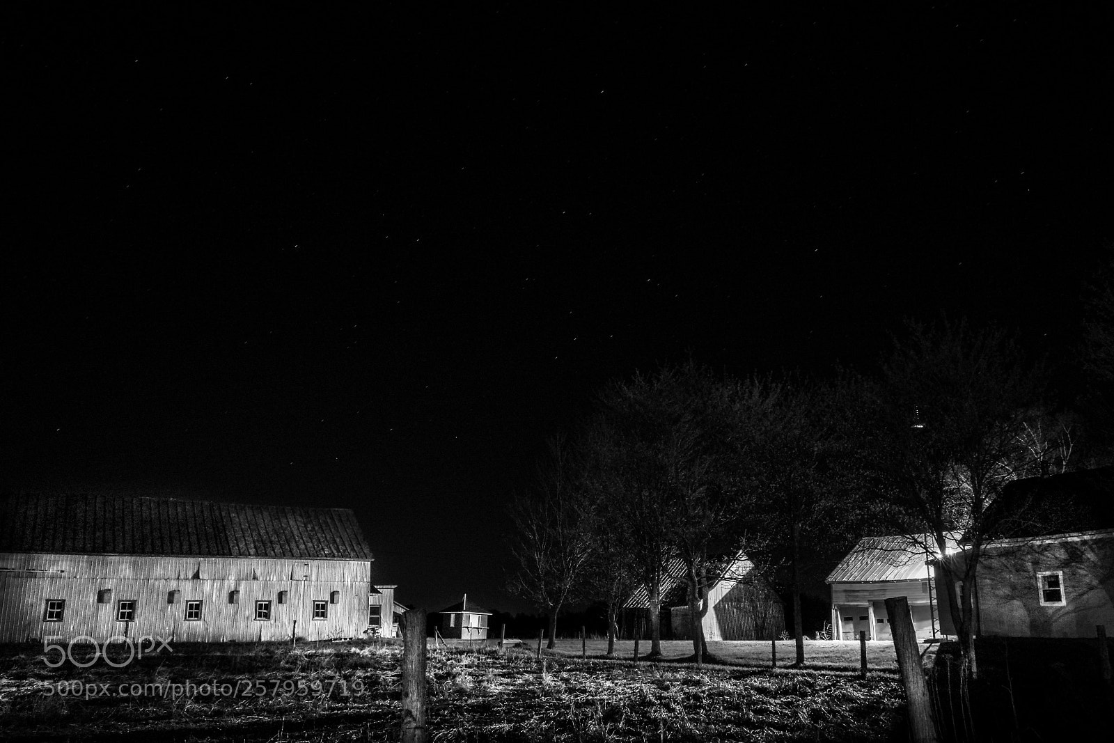 Sony a7 II sample photo. Moonless night photography