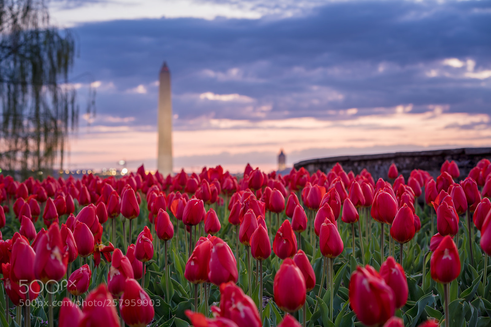 Sony a7R III sample photo. Navy-merchant marine memorial photography