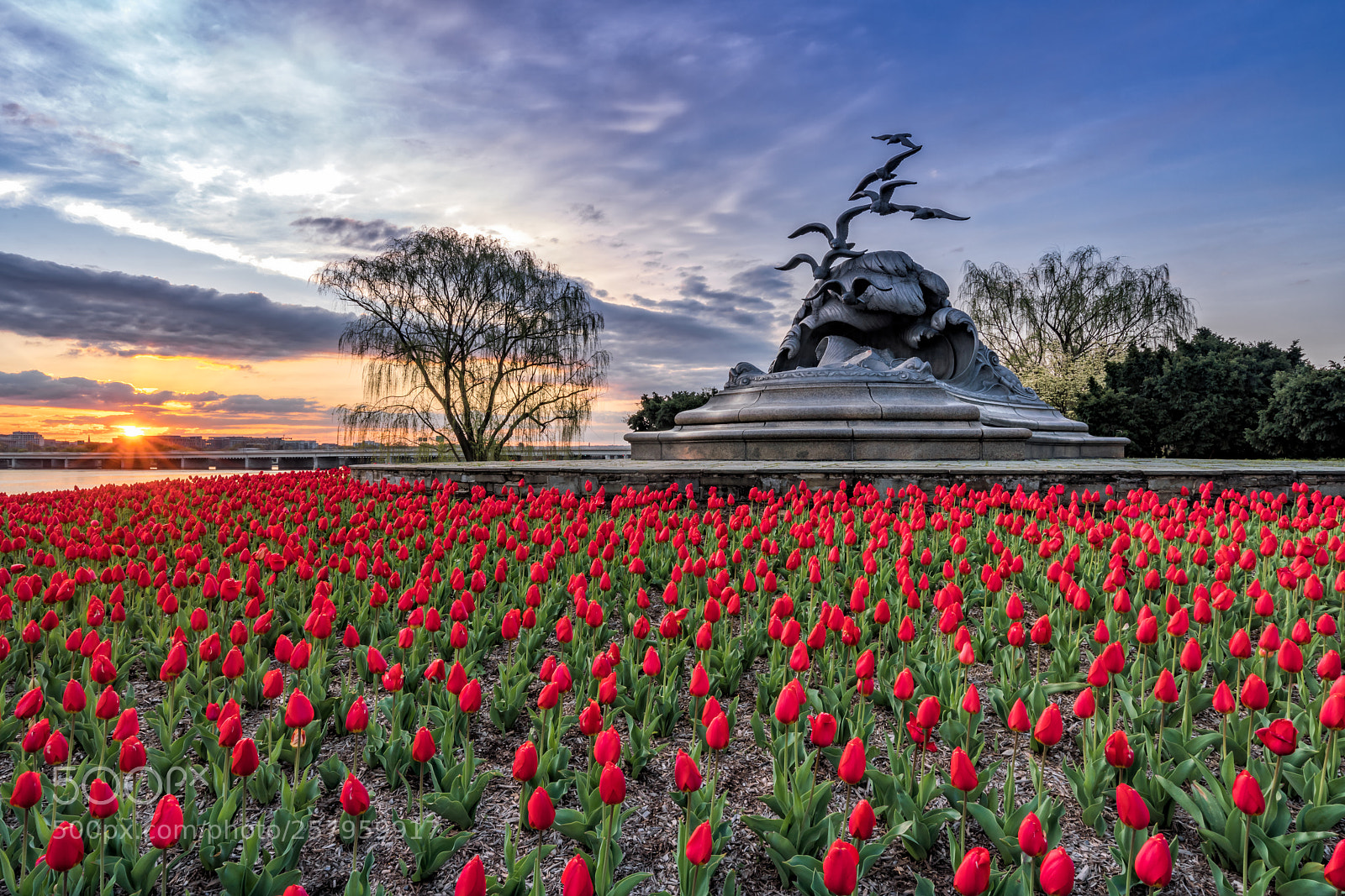 Sony a7R III sample photo. Navy-merchant marine memorial photography