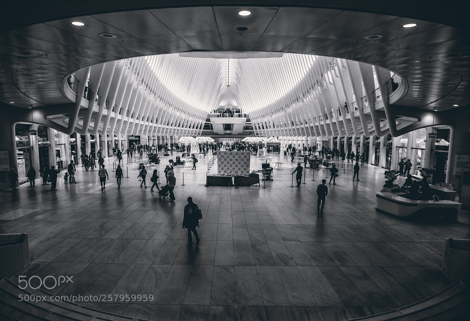 Nikon D5500 sample photo. Belly of the beast photography