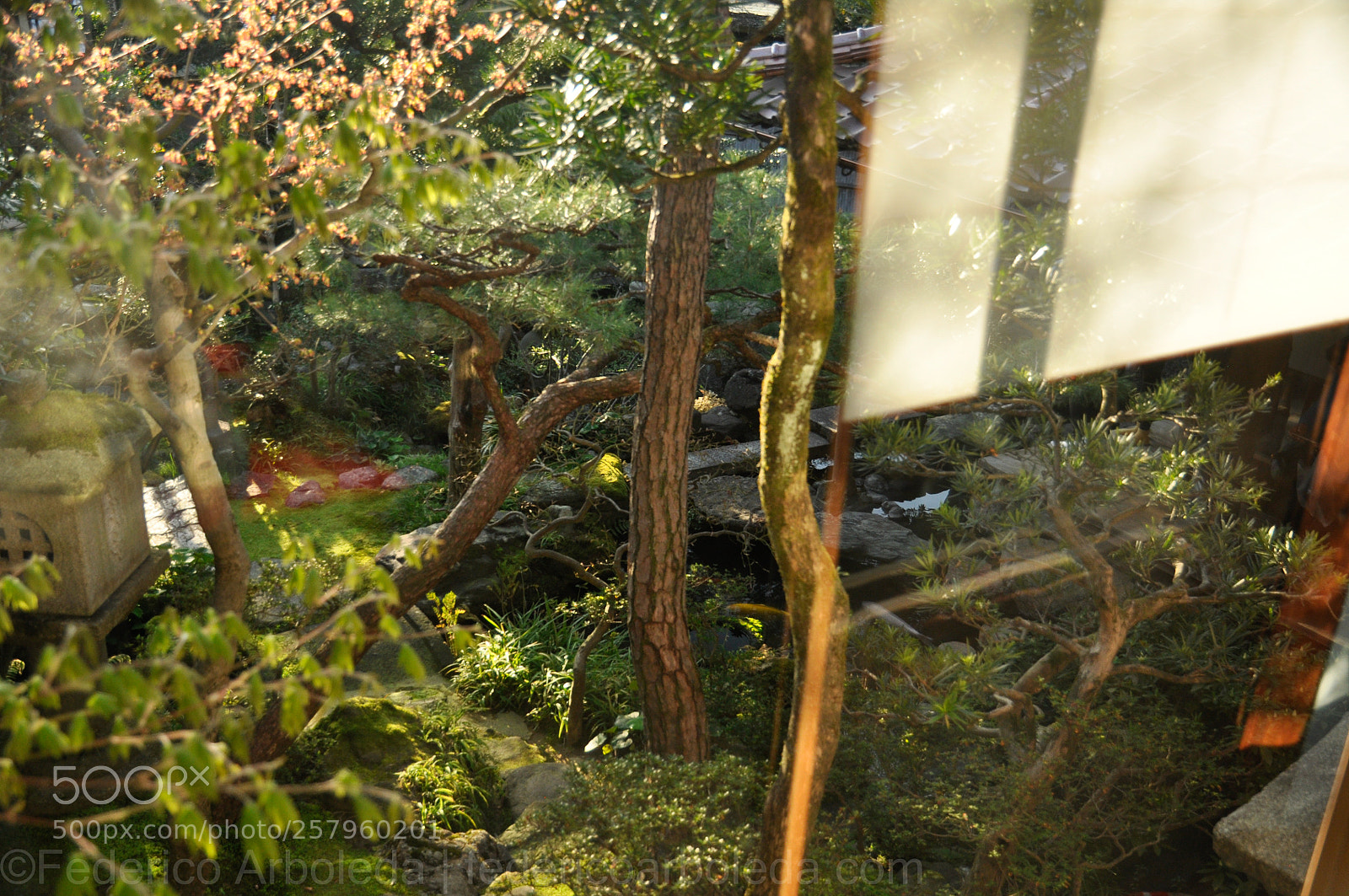 Nikon D90 sample photo. Vertical squiggles photography