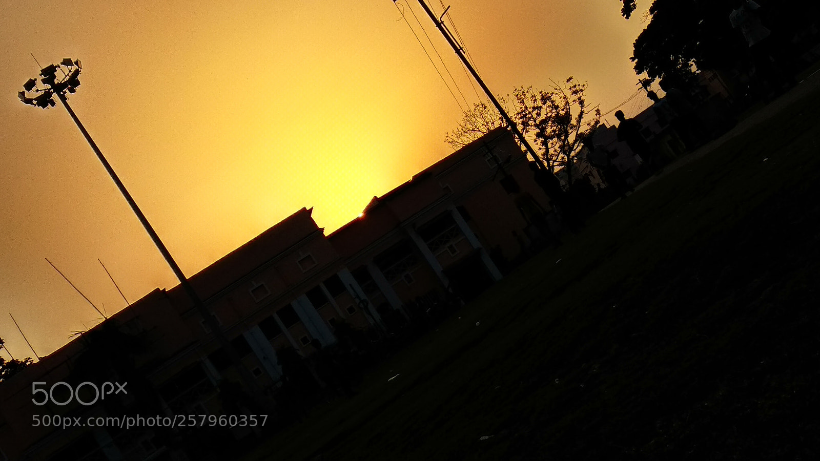 Xiaomi Mi A1 sample photo. Untitled photography