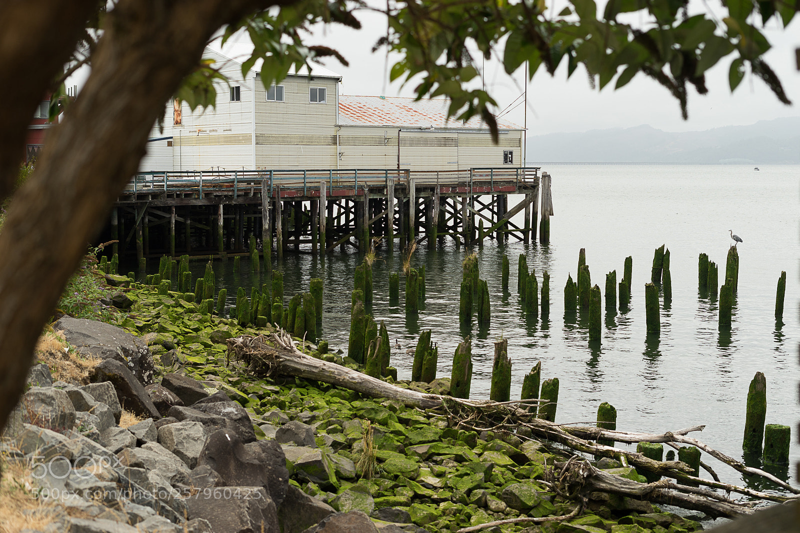 Sony a7 II sample photo. Astoria, oregon photography