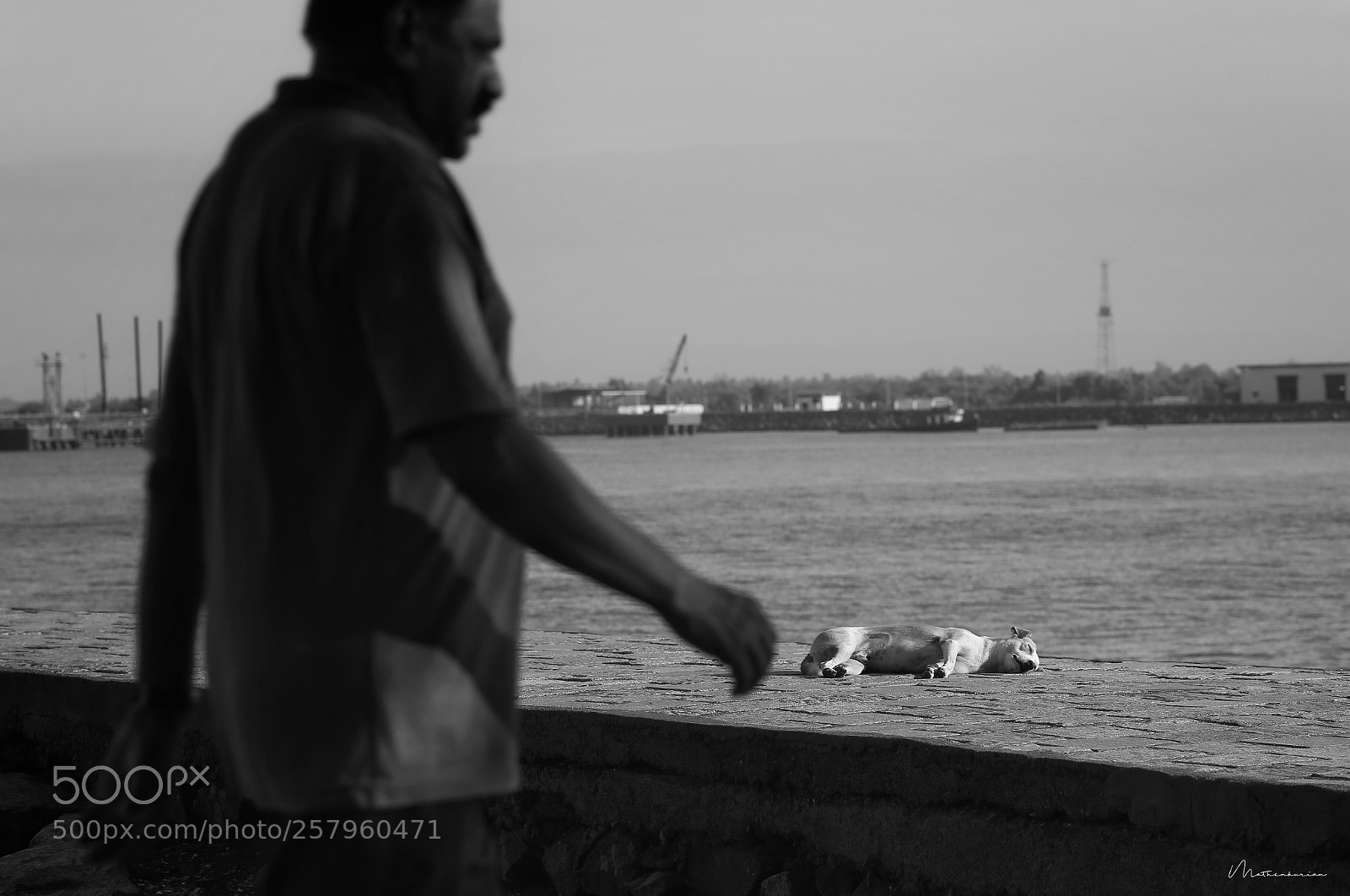Canon EOS 6D sample photo. The 2 edges of morning !! photography