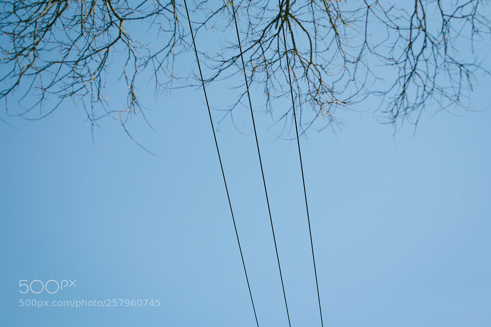 Canon EOS 5D sample photo. Img photography