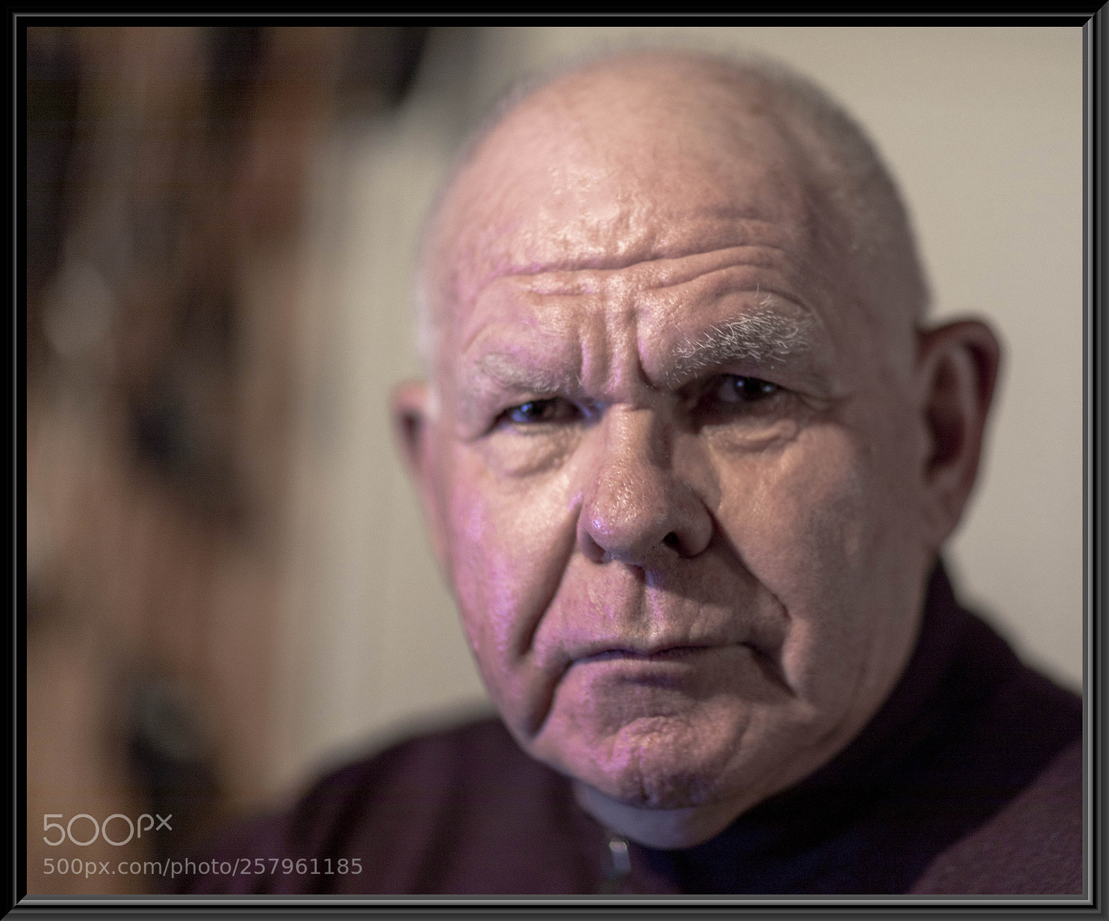 Canon EOS 5D Mark IV sample photo. A portrait of werner photography