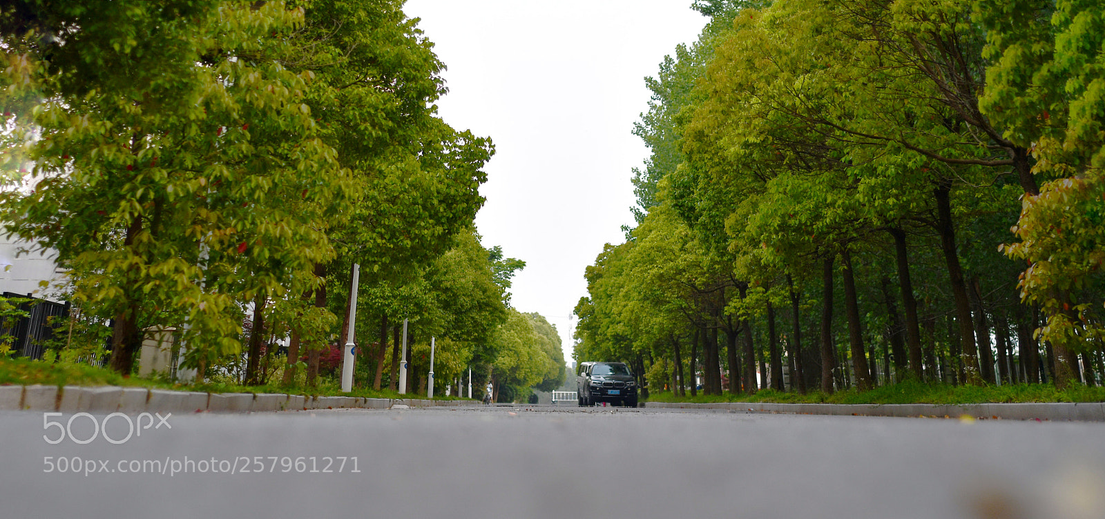 Nikon D7500 sample photo. Untitled photography