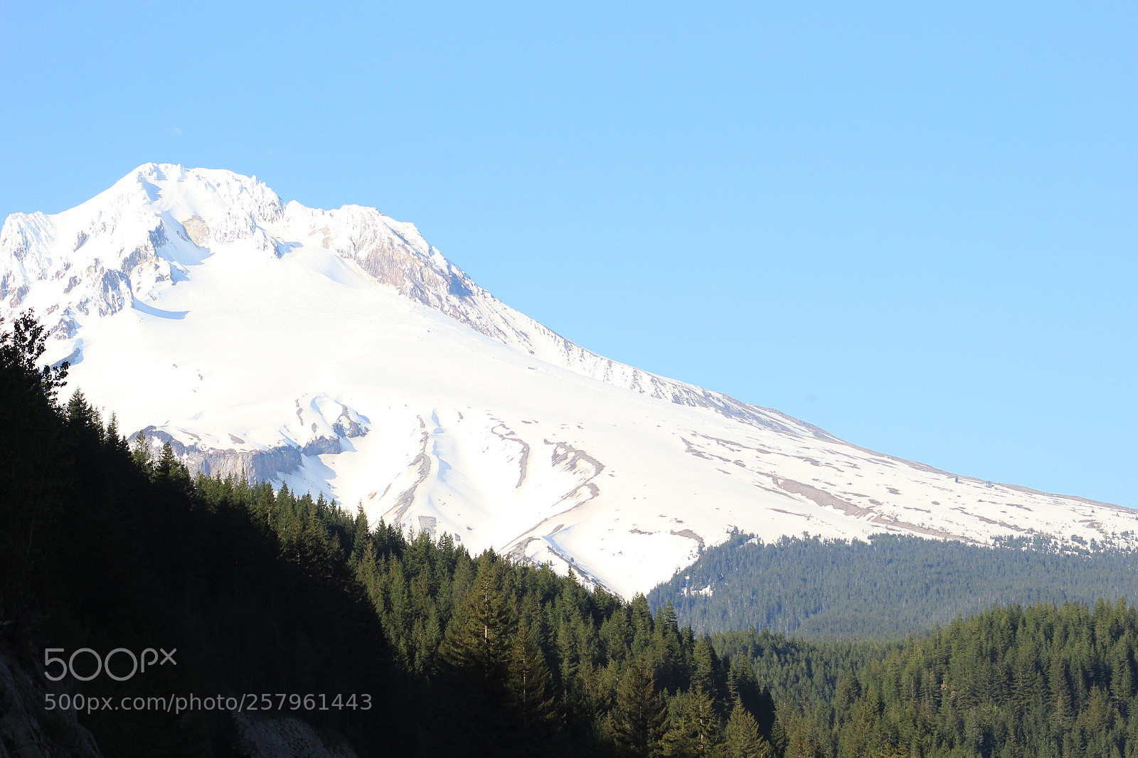 Canon EF 75-300mm f/4-5.6 sample photo. Img photography