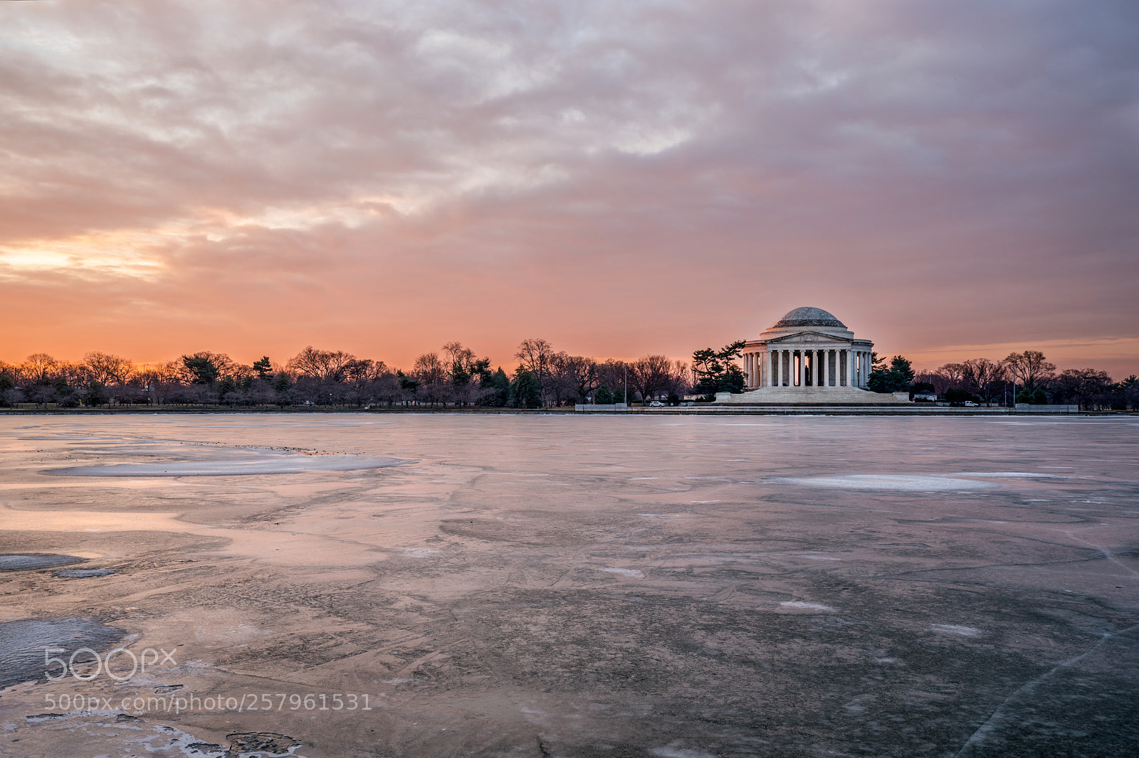 Sony a7R II sample photo. Tidalbasinfrozen photography