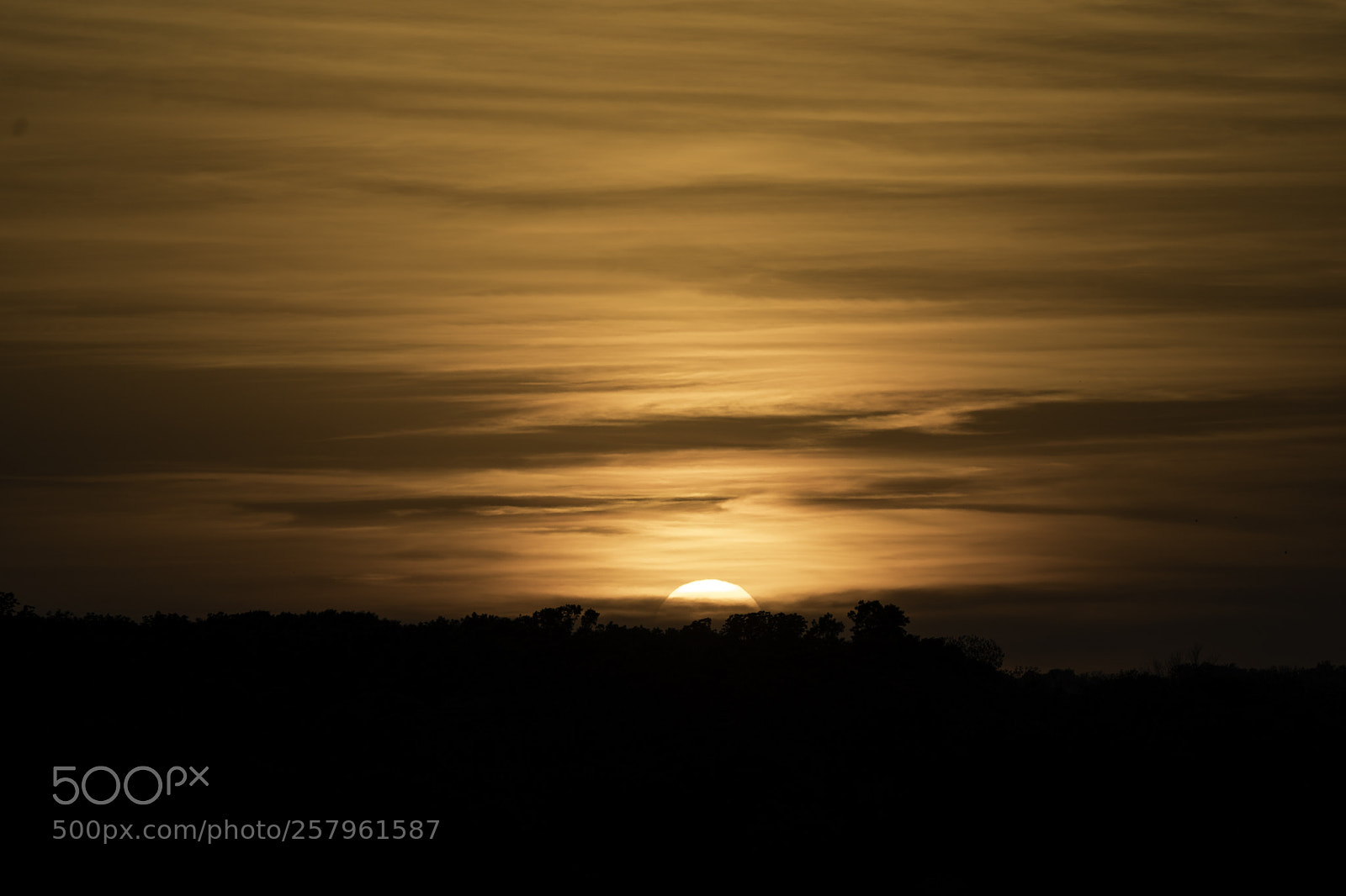 Sony a9 sample photo. The sunset photography