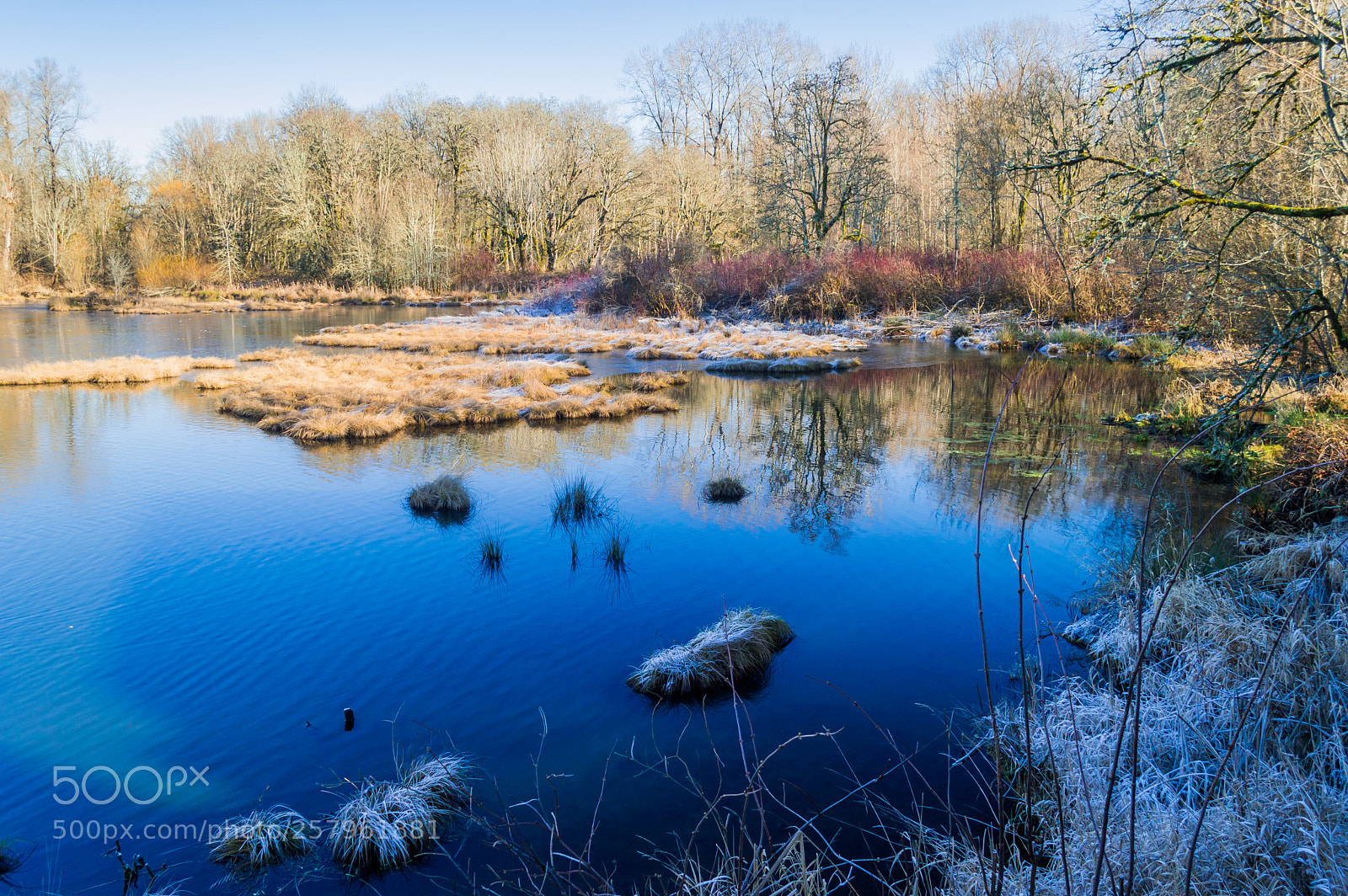 Nikon D3200 sample photo. Nisqually wildlife refuge photography