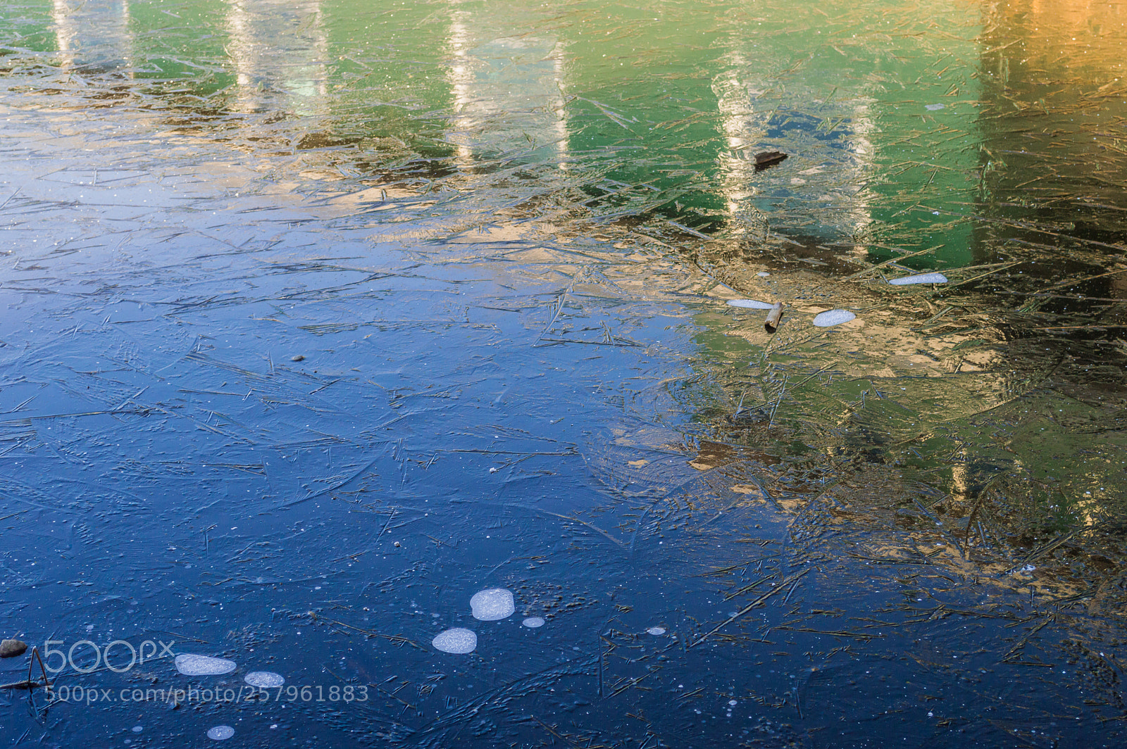 Nikon D3200 sample photo. Nisqually wildlife refuge reflection photography
