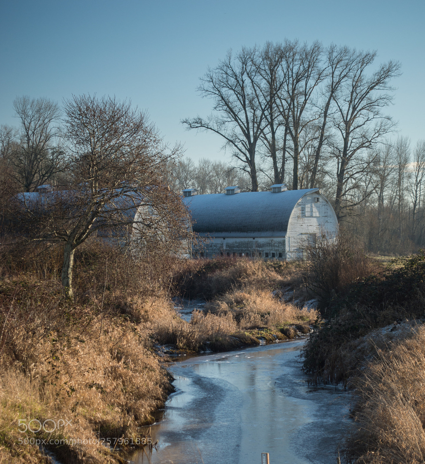 Nikon D3200 sample photo. Nisqually wildlife refuge photography