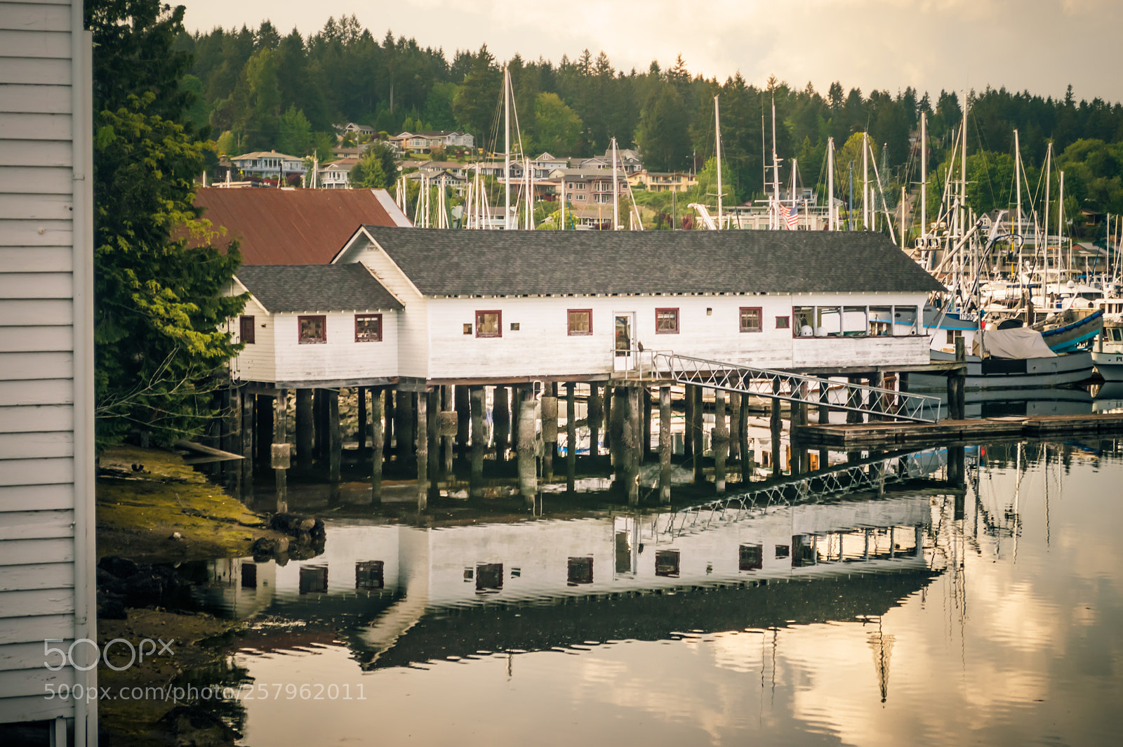 Nikon D3200 sample photo. Gig harbor, wa photography
