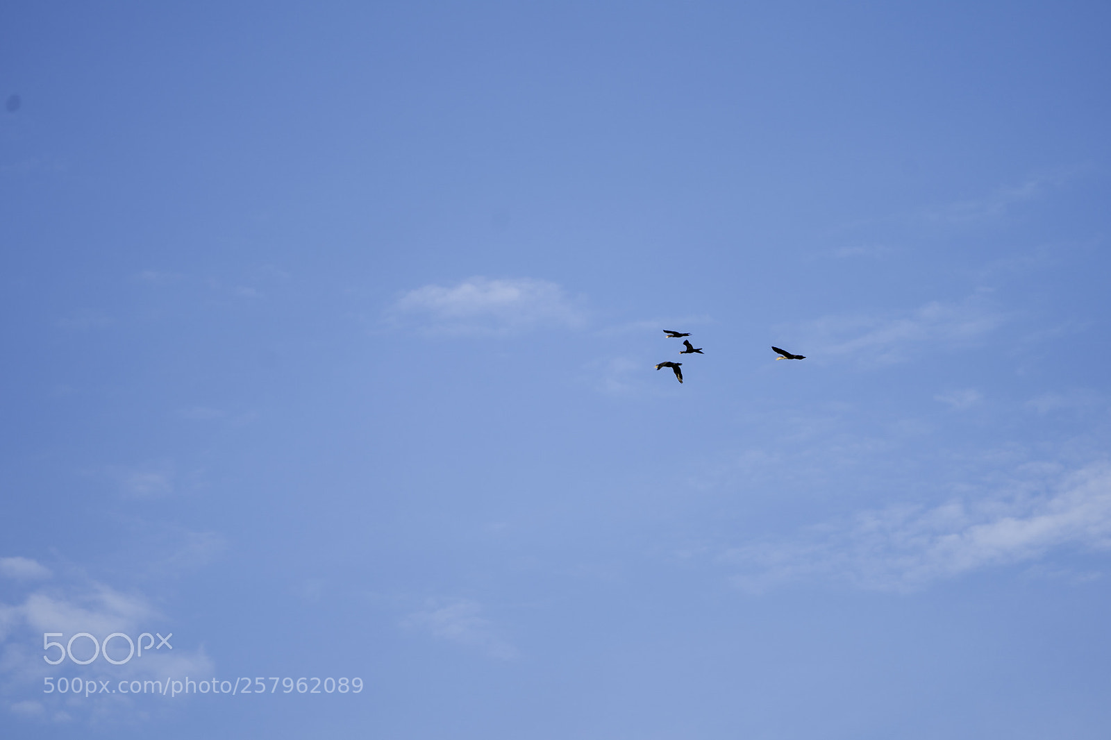 Sony a9 sample photo. The open sky. photography