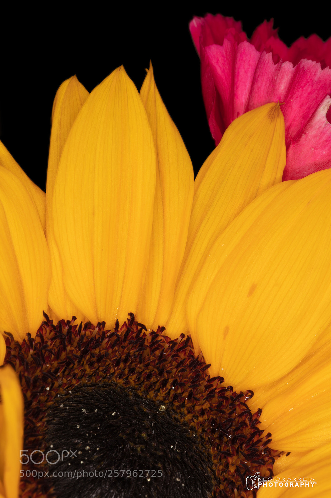 Canon EOS 5DS R sample photo. Rayos photography