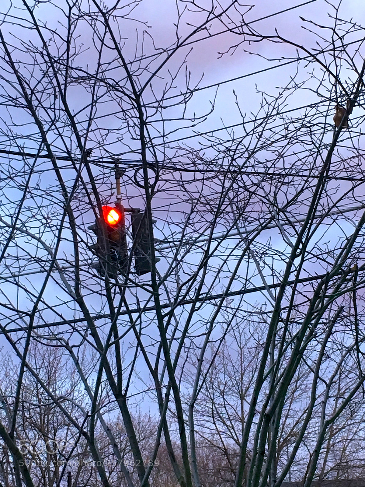 Apple iPhone 6s sample photo. Red & blue = purple photography