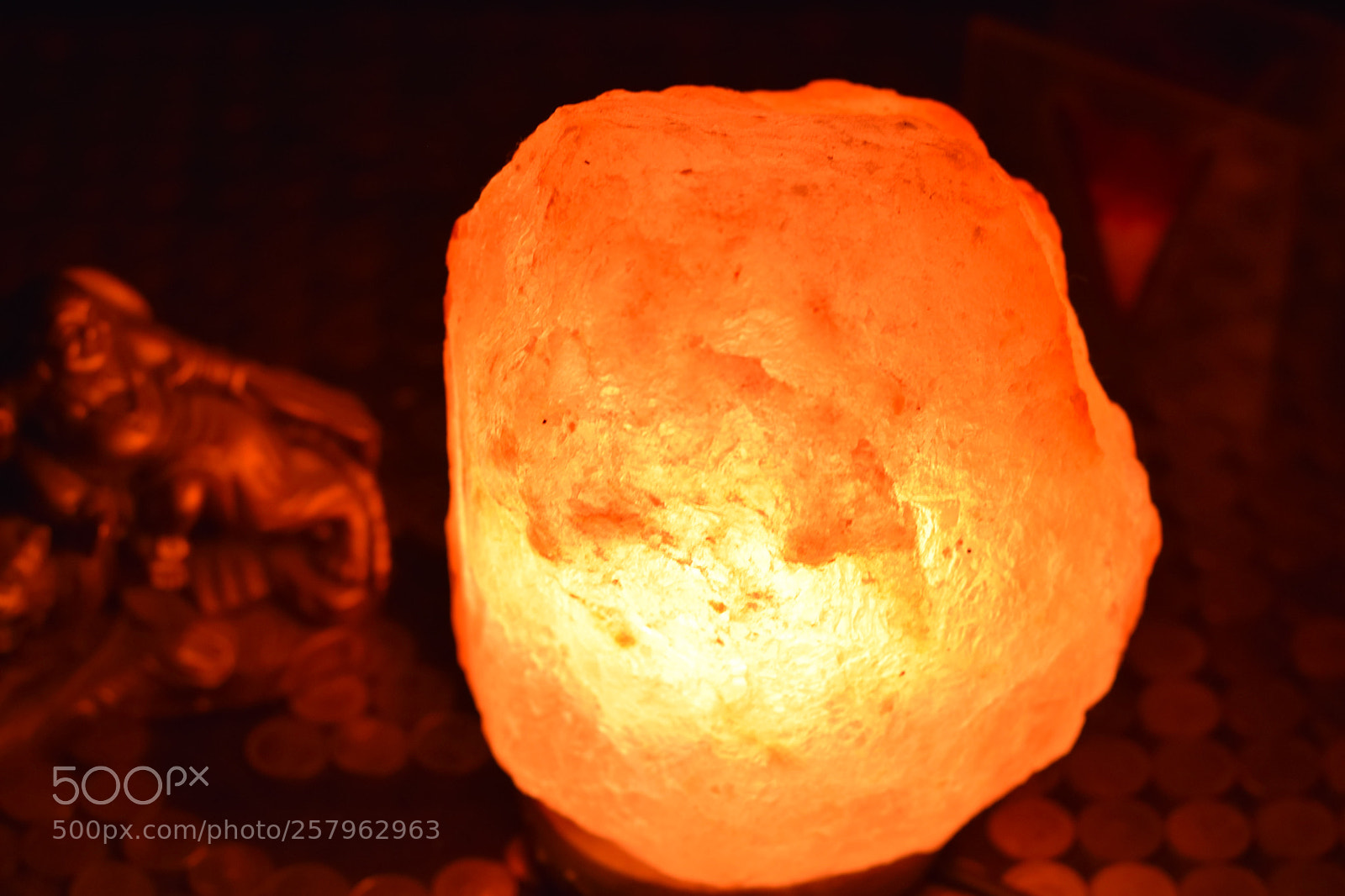 Nikon D5300 sample photo. Untitled photography