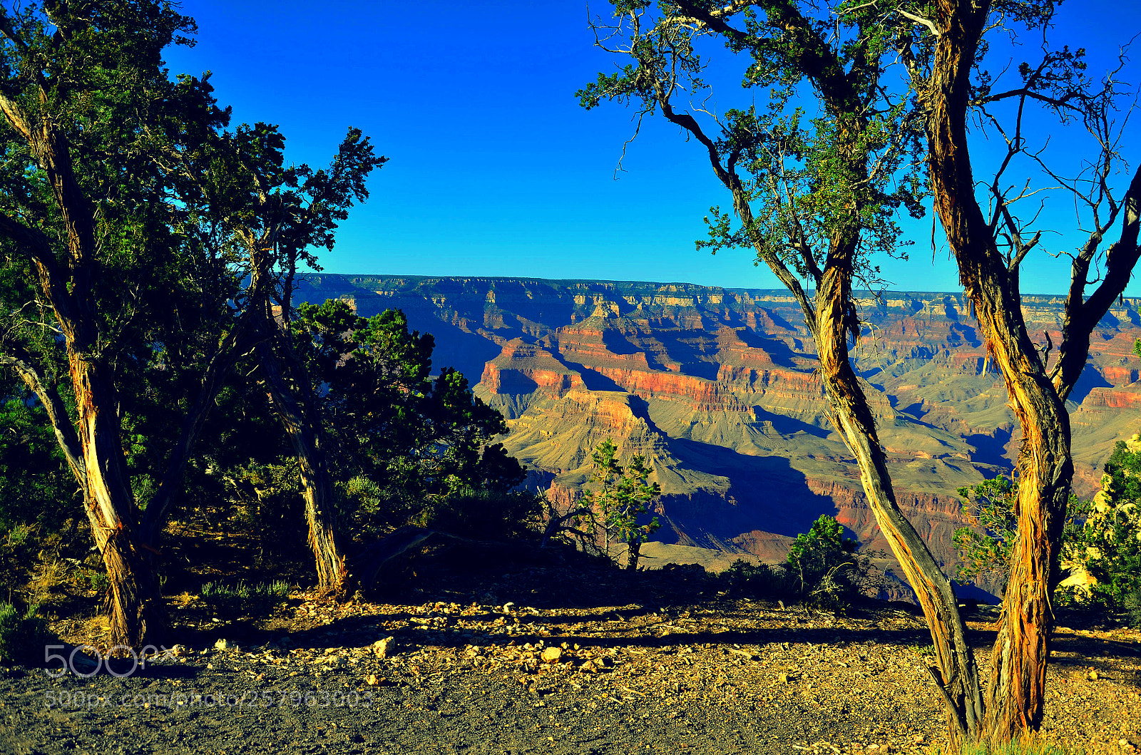 Nikon D7000 sample photo. The grand canyon, az photography
