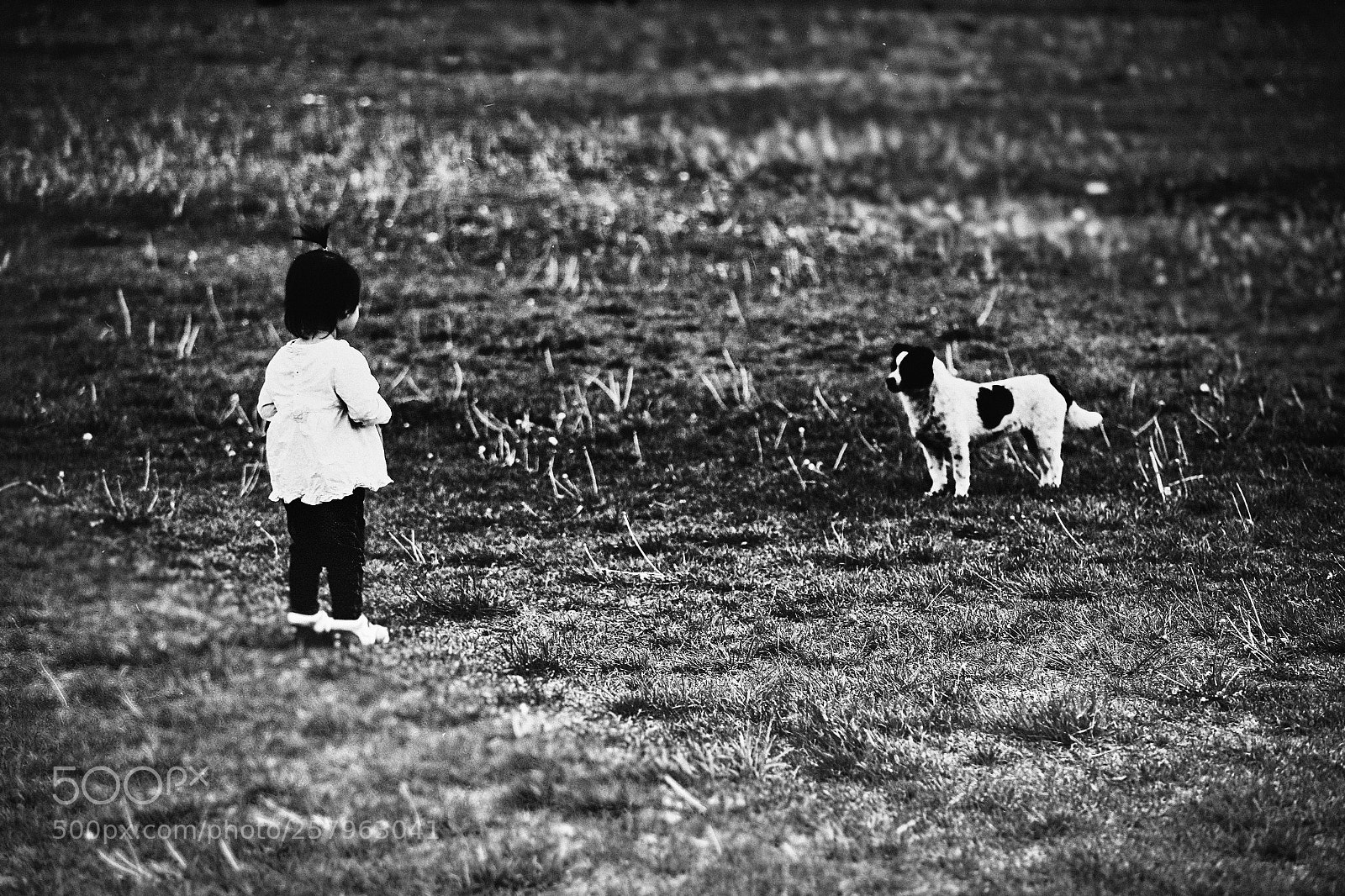 Canon EOS 6D sample photo. Untitled photography
