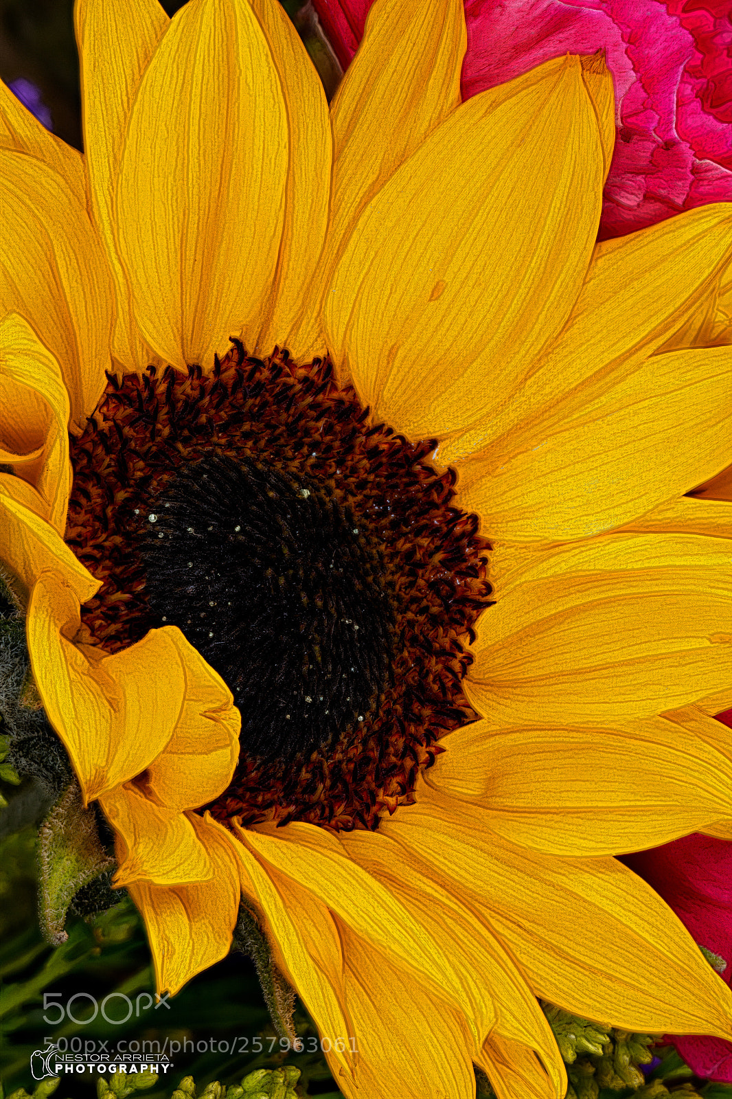 Canon EOS 5DS R sample photo. Watercolors photography