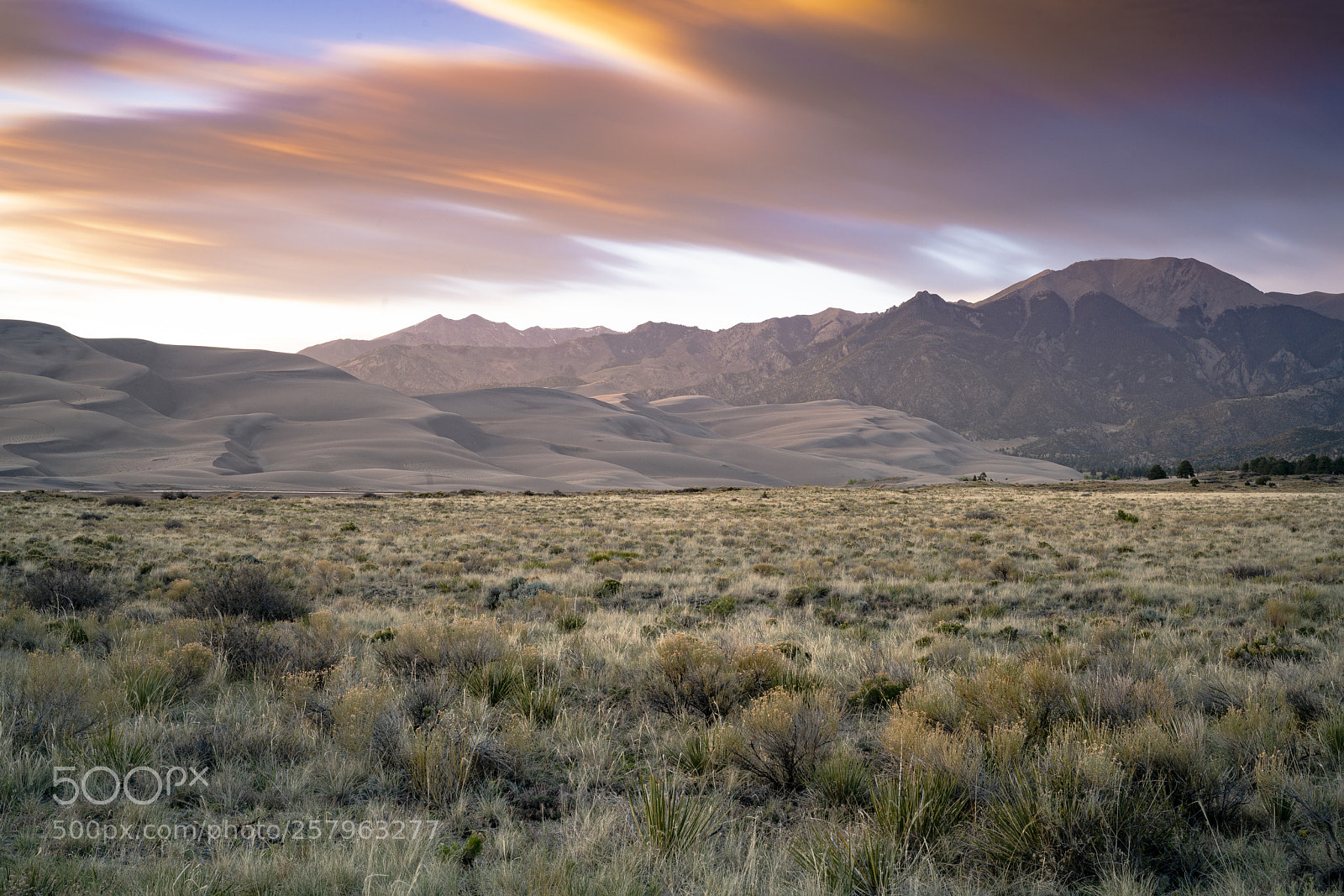 Sony a7R II sample photo. Magical sunset at great photography