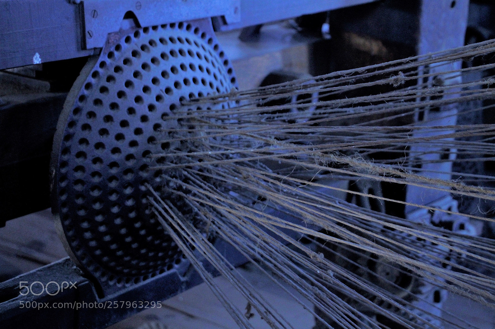 Canon EOS 7D sample photo. Webs we weave photography