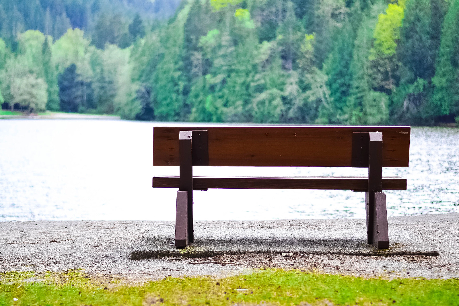 Nikon D3100 sample photo. Bench photography
