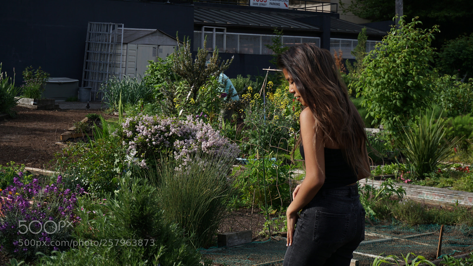 Sony a6300 sample photo. Garden vancouver photography