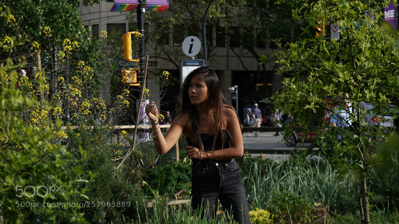 Sony a6300 sample photo. Mali photography