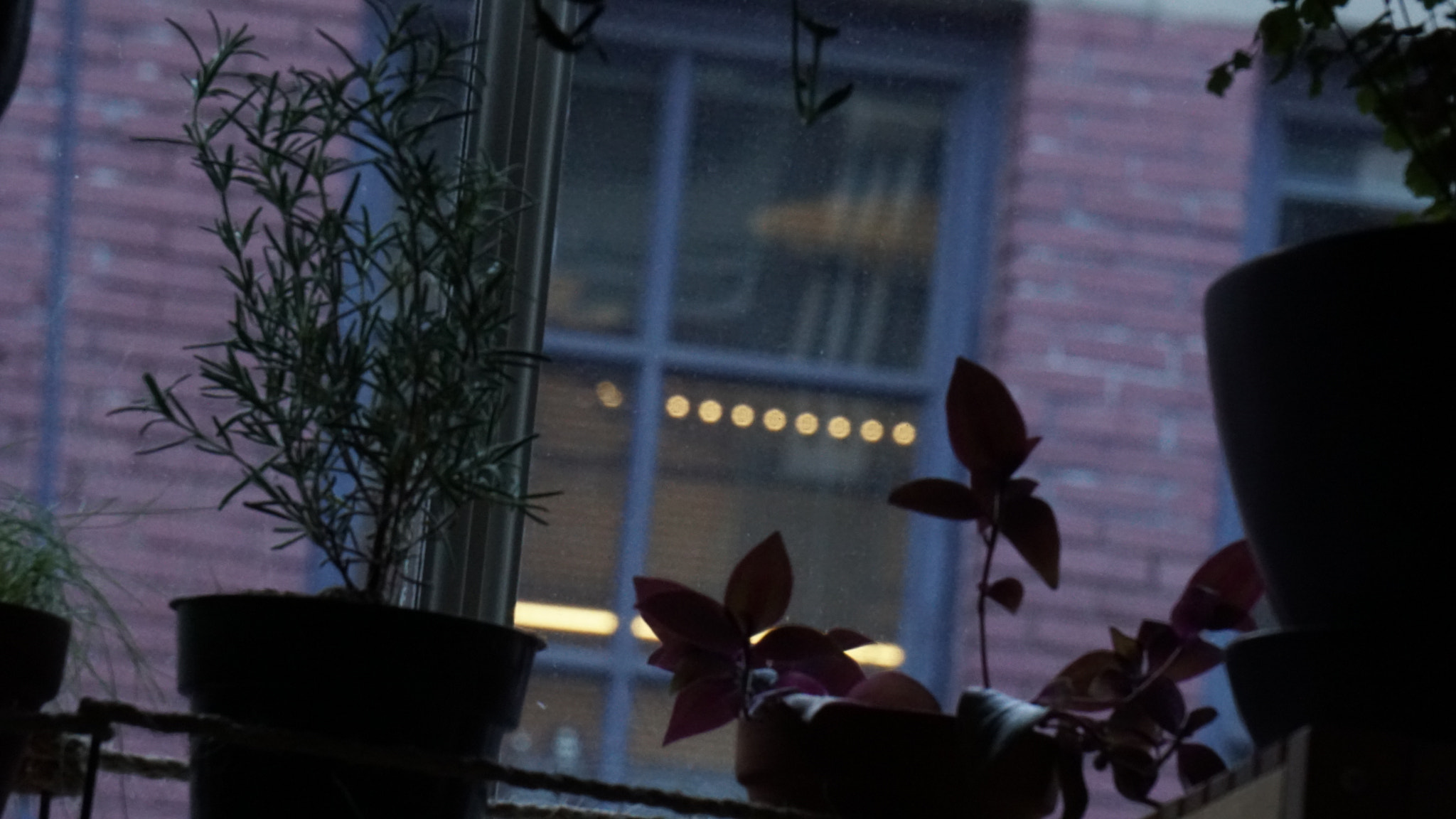 Sony E 55-210mm F4.5-6.3 OSS sample photo. Stalker photography