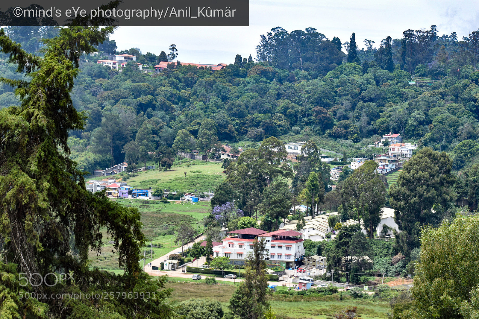 Nikon D3300 sample photo. Queen of hill stations photography