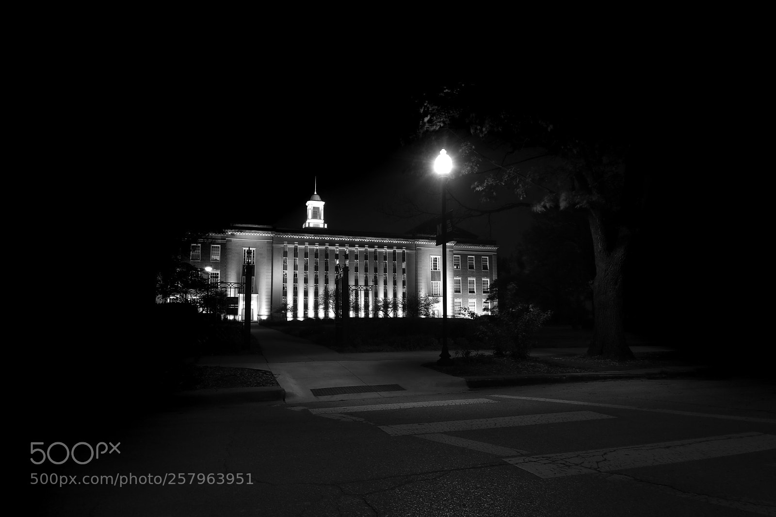 Canon EOS 80D sample photo. Path of opportunity photography