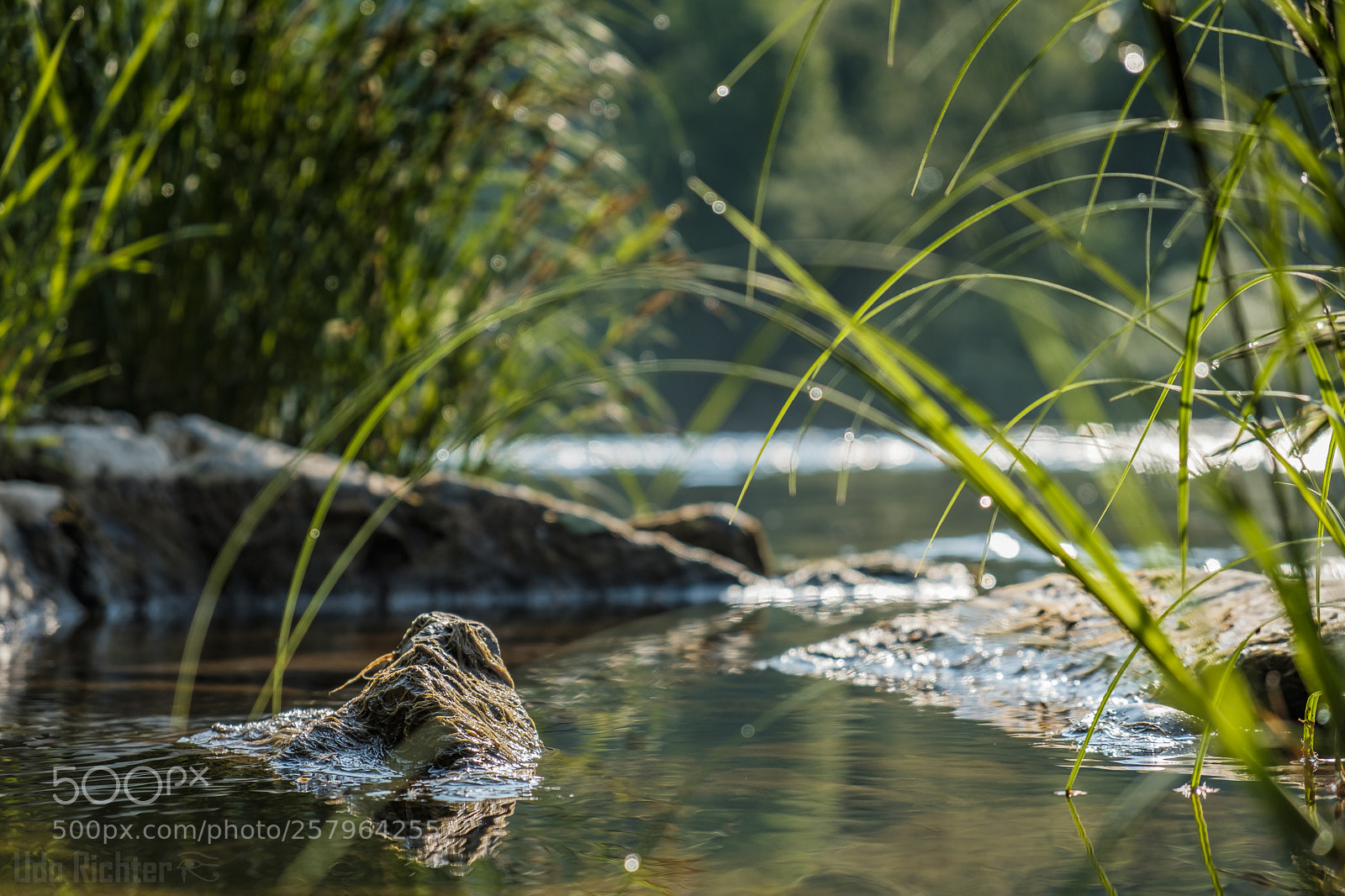Fujifilm X-T20 sample photo. 'silence' photography