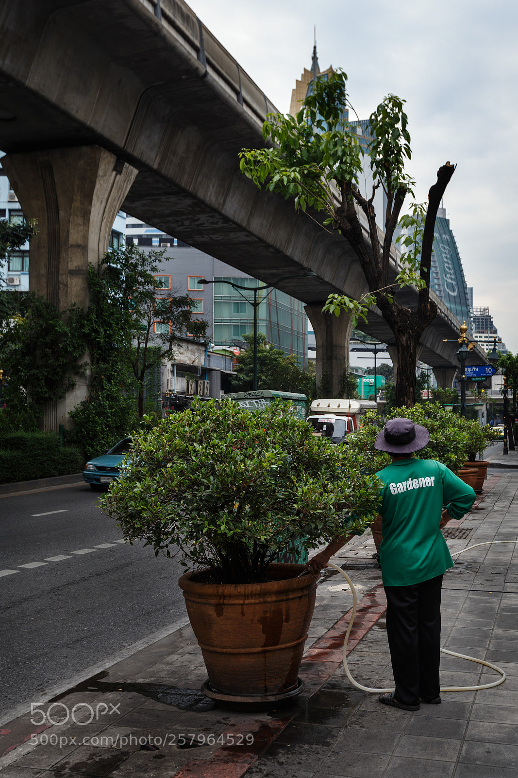 Canon EOS 6D sample photo. Gardener photography