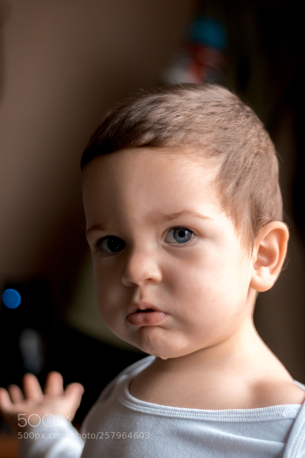 Canon EOS 750D (EOS Rebel T6i / EOS Kiss X8i) sample photo. El modelo mas lindo photography