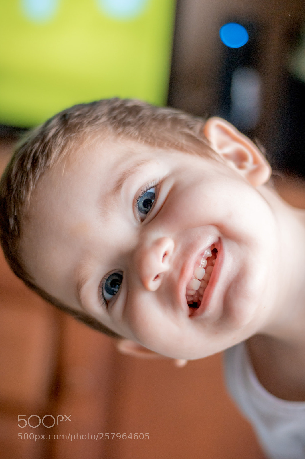 Canon EOS 750D (EOS Rebel T6i / EOS Kiss X8i) sample photo. El modelo mas lindo photography