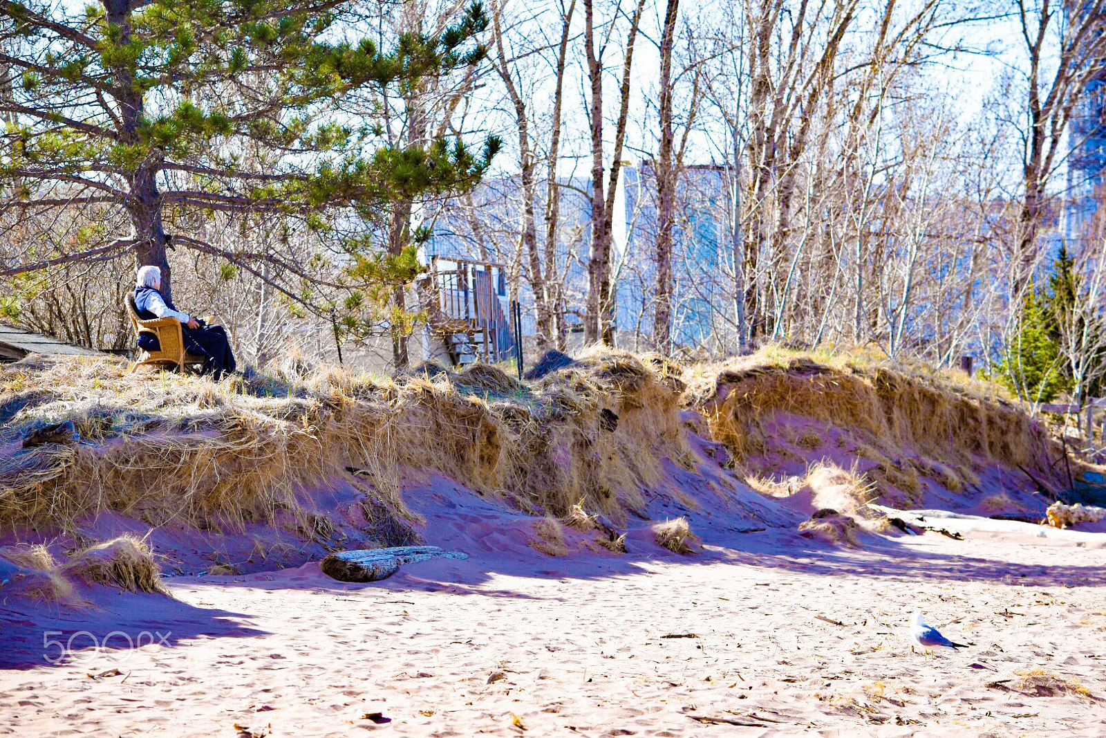 Nikon D5500 sample photo. Untitled photography
