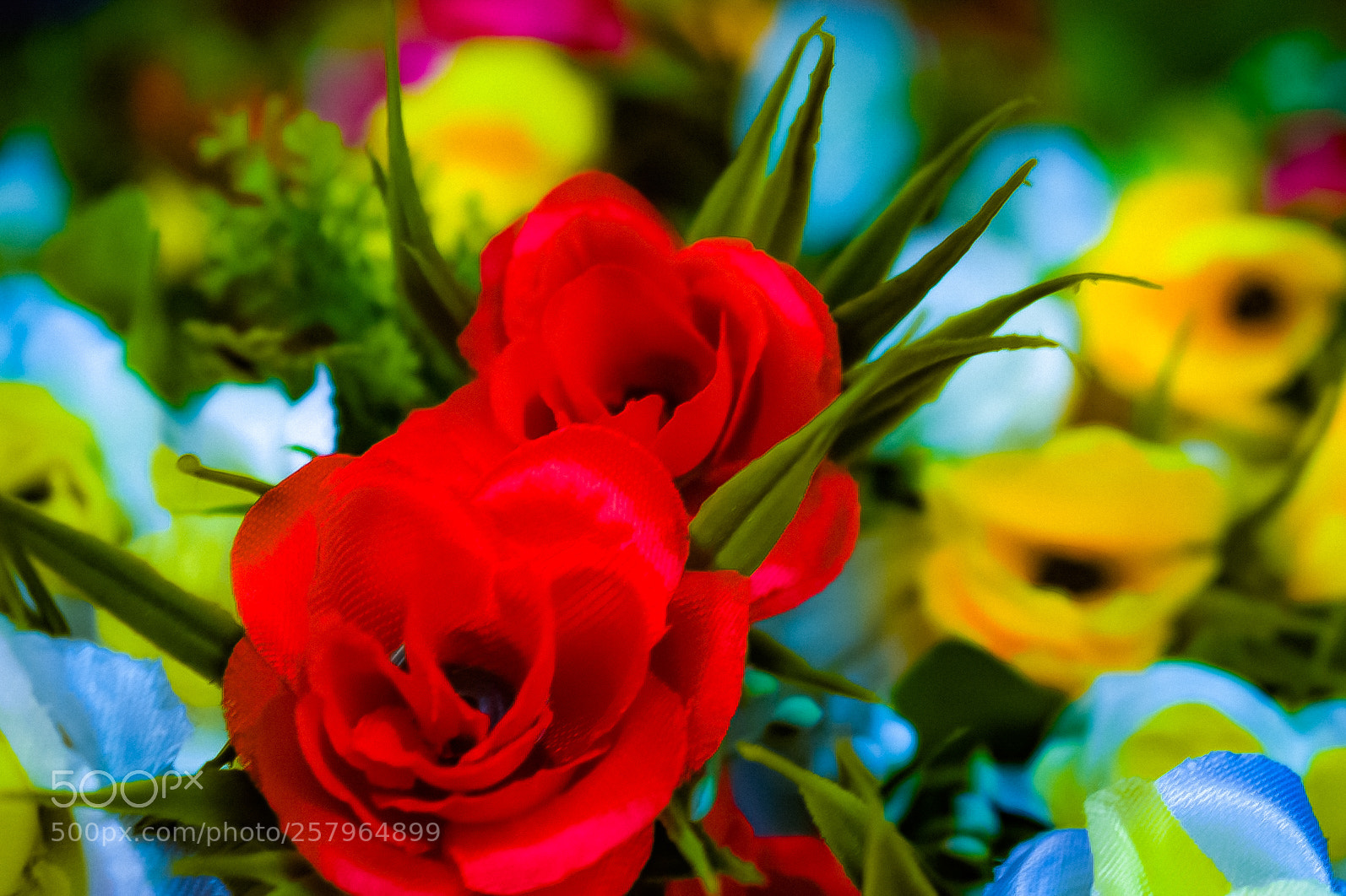 Nikon D5300 sample photo. Untitled photography