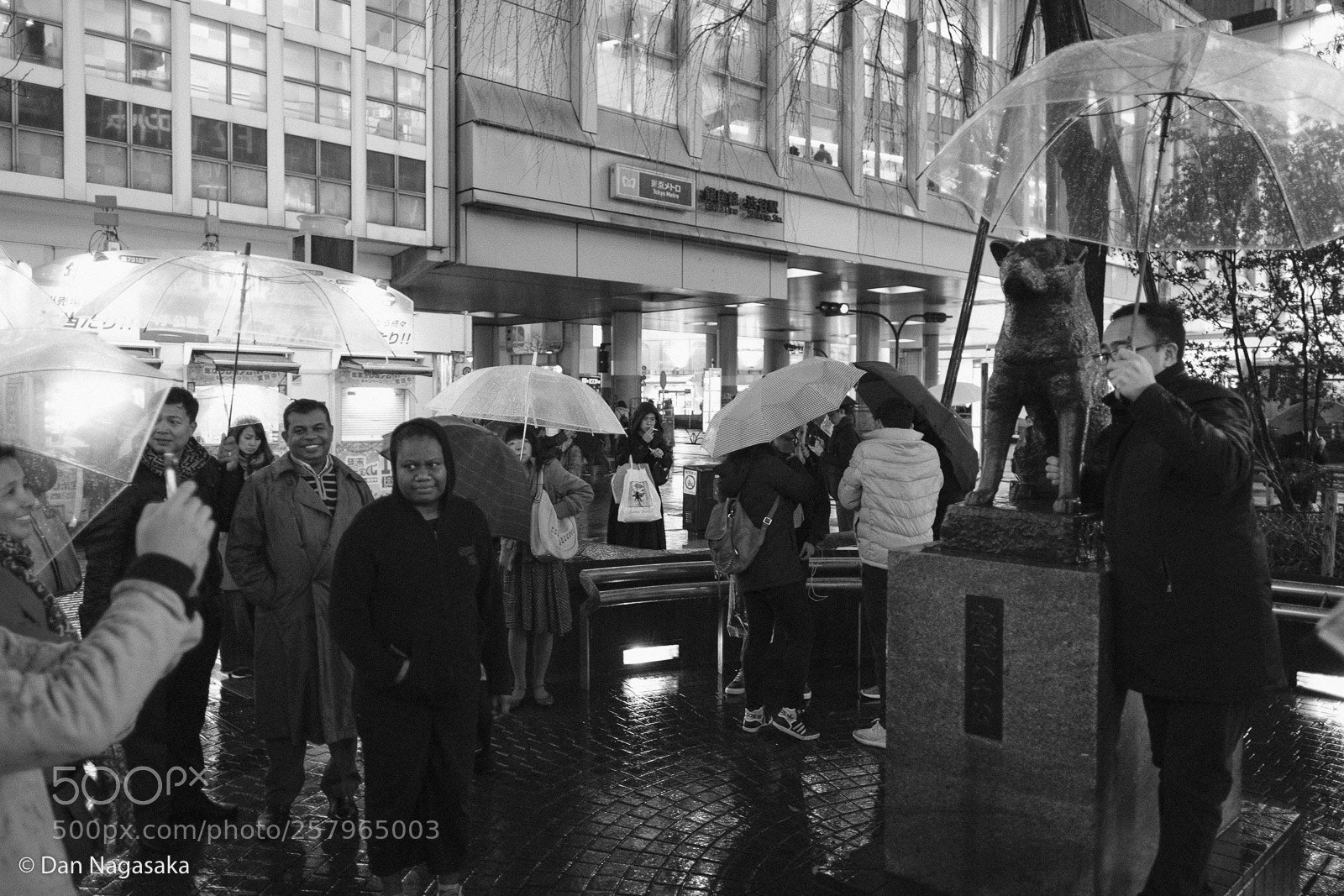 Fujifilm X-Pro2 sample photo. Hachiko in shibuya photography